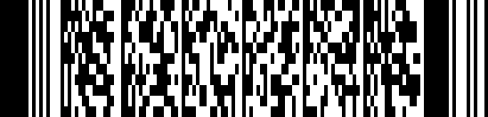 PDF417 -muodossa barcode example